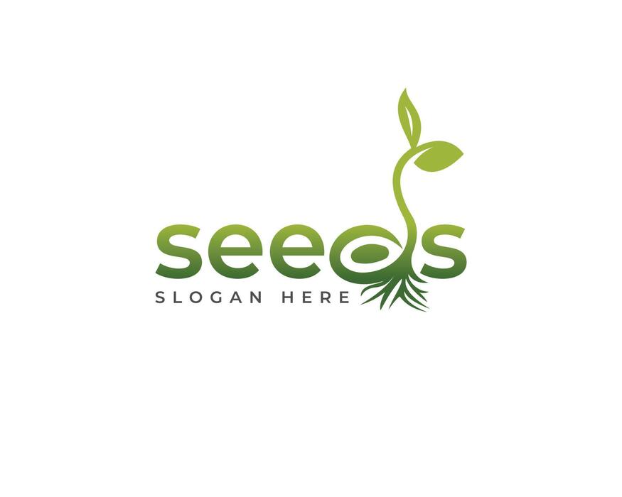 Reva Seeds Enterprise